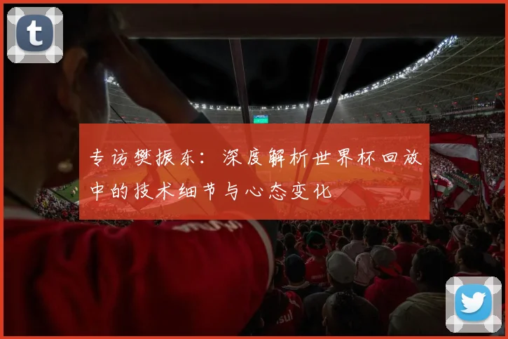 专访樊振东:深度解析世界杯回放中的技术细节与心态变化