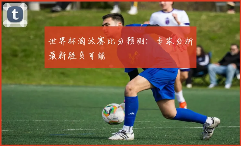 世界杯淘汰赛比分预测:专家分析最新胜负可能