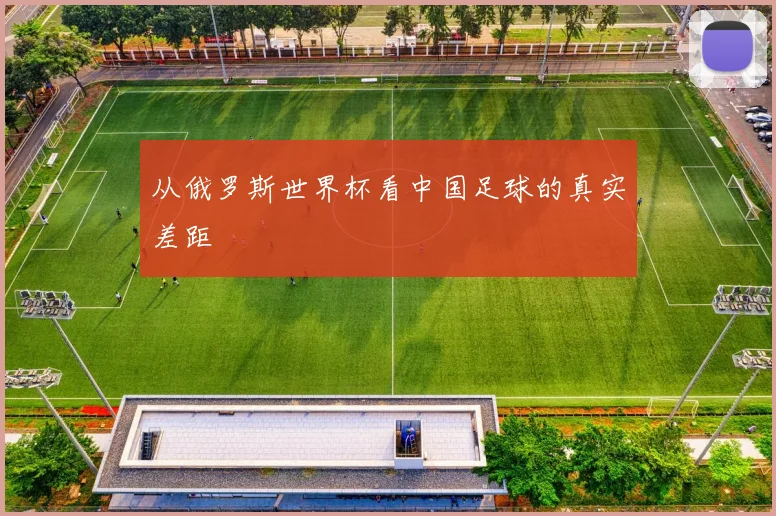 从俄罗斯世界杯看中国足球的真实差距