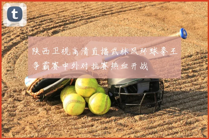 陕西卫视高清直播武林风环球拳王争霸赛中外对抗赛热血开战