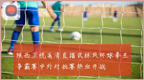 陕西卫视高清直播武林风环球拳王争霸赛中外对抗赛热血开战