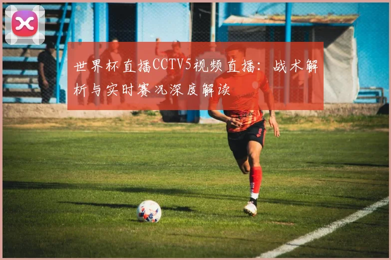 世界杯直播CCTV5视频直播：战术解析与实时赛况深度解读