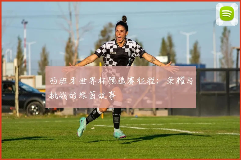 西班牙世界杯预选赛征程：荣耀与挑战的绿茵故事